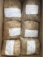 Box of hand-labeled green coffee sample bags