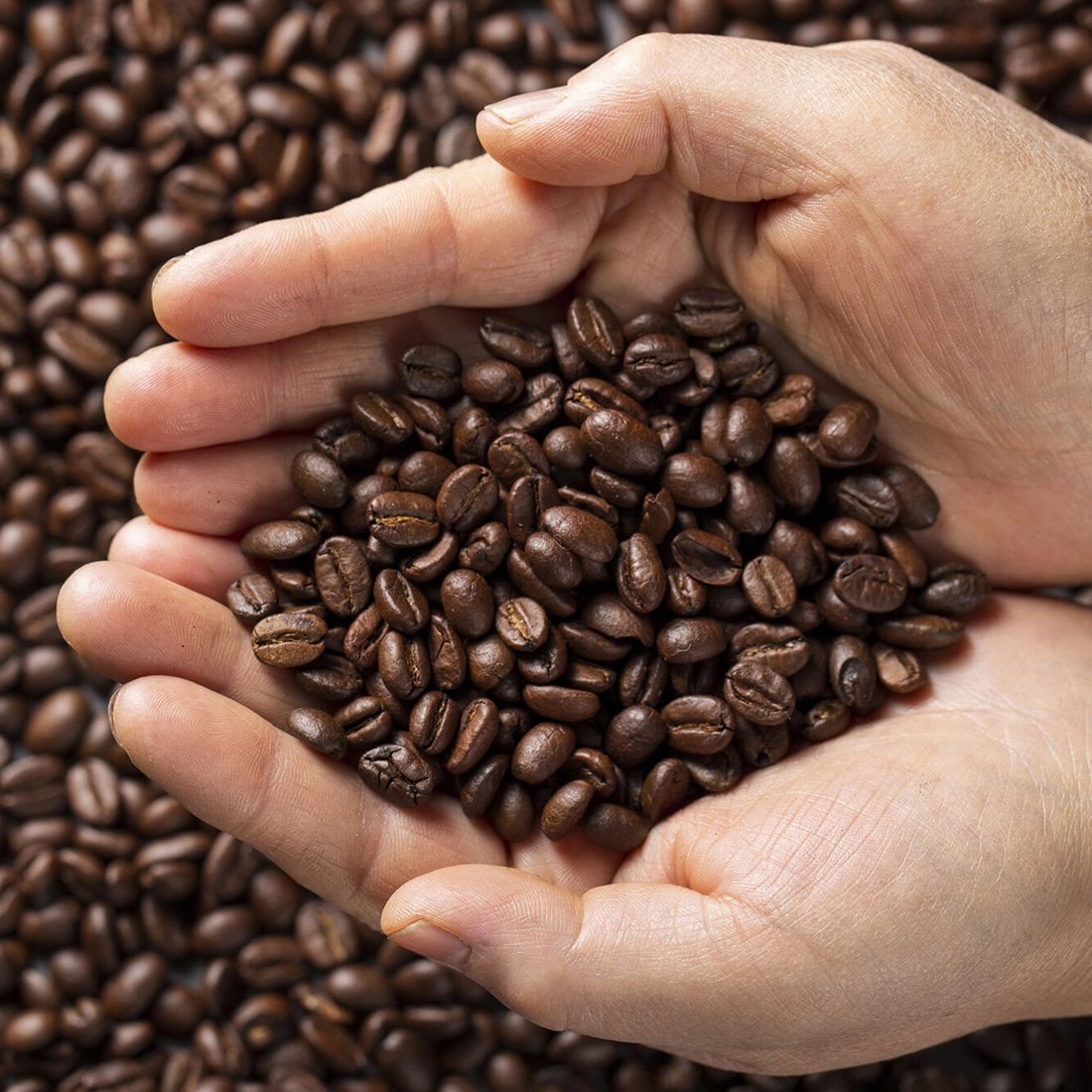 Agricultural innovation at Javier Pereira Coffee